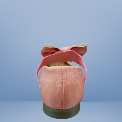 Balerina FM Barbie alina-163